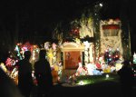 Skaters look at Christmas lights on the December 15, 2003 Monday Night Skate.