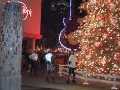 Skaters - Bryan, Steve, and Morgan - view Hard Rock Christmas tree on the December 4, 2000, Monday Night Skate.