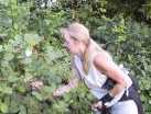 Sonya Picks Blackberries at July 3, 2000 Monday Night Skate.